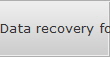 Data recovery for South Chicago data